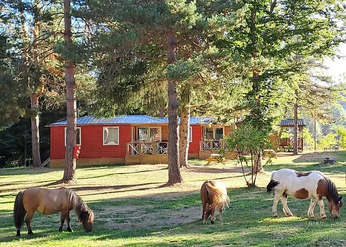 مكان تخييم Et Mobil Homes Dans La Montagne Au Les Sapins